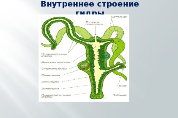 Кракен это что за сайт