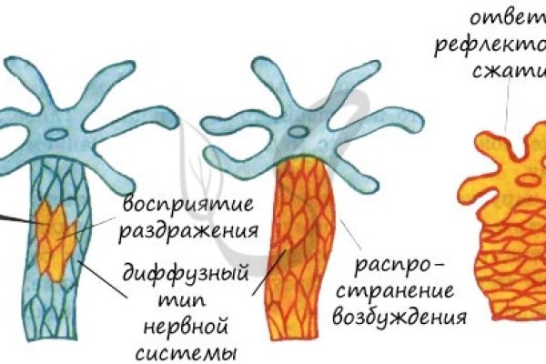 Кракен шоп это