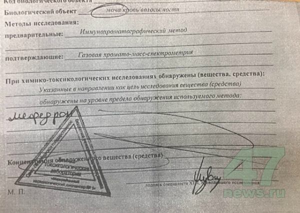 Ссылки мега кракен